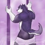  anthro back biceps big_muscles black-spectre butt caleb_(kokuhane) canine condom dog fur husky kokuhane looking_at_viewer looking_back male mammal muscles purple_fur solo standing towel 