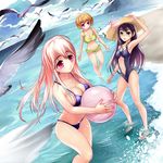  ball barefoot beach beachball bikini bird black_bikini black_hair breasts brown_hair center_opening cleavage day fujimi_suzu green_bikini green_eyes hat highres lain1 large_breasts long_hair multiple_girls navel nitroplus one-piece_swimsuit open_mouth pink_eyes pink_hair purple_eyes seagull short_hair smile sun_hat super_sonico swimsuit watanuki_fuuri 