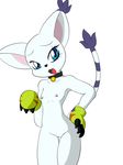  feline female gatomon killy00 mammal pussy solo 