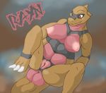  anus big_breasts breasts crocodile female kai-ten kaivolate krokorok nintendo nipples pok&#233;mon pok&#233;morph pok&eacute;mon presenting pussy raptorkou reptile scalie solo video_games 