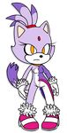  blaze_the_cat cat clothing collar feline female gloves mammal sega shoes socks solo sonic_(series) sonic_the_hedgehog torn_clothing video_games 