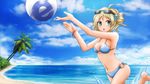  aizawa_inori beach bikini blue_eyes internet_explorer microsoft swimsuit 