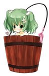  blush bucket flower green_eyes green_hair heart in_bucket in_container kisume kurot ribbon solo touhou twintails wooden_bucket 