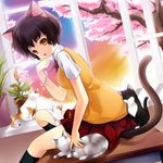  :p animal_ears bad_id bad_pixiv_id black_hair black_legwear bracelet brown_eyes cat cat_ears cat_tail cherry_blossoms desk jewelry juna kneehighs looking_at_viewer on_desk original paw_pose plant potted_plant school_uniform short_hair sitting sitting_on_desk skirt socks solo sweater_vest tail tongue tongue_out tree window yellow_eyes 