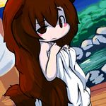  animal_ears bad_id bad_pixiv_id brown_eyes brown_hair imaizumi_kagerou inunoko. long_hair tail touhou towel wolf_ears wolf_tail 