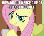  cup english_text equine female feral fluttershy_(mlp) friendship_is_magic green_eyes hair horse looking_at_viewer mammal meme my_little_pony pink_hair pony smile solo text 