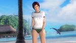  1girl beach breasts buruma dead_or_alive dead_or_alive_5 large_breasts looking_at_viewer mila_(dead_or_alive) mila_(doa) official_art outdoors red_hair short_hair solo spaniard 