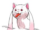  close-up face food kyubey mahou_shoujo_madoka_magica nigirizushi no_humans nura_(oaaaaaa) open_mouth pointy_ears red_eyes sharp_teeth simple_background sushi teeth whiskers white_background 