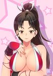  1girl breasts fatal_fury large_breasts looking_at_viewer ponytail shiranui_mai smile snk takejun 