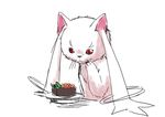  bowl cat food gunkanmaki hand_on_own_face kyubey looking_down mahou_shoujo_madoka_magica no_humans nura_(oaaaaaa) obentou pointy_ears red_eyes simple_background sushi thinking whiskers white_background 