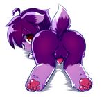  balls blush butt cub fur kemokiu looking_at_viewer looking_back male pawpads paws penis plain_background presenting presenting_ass purple_fur red_eyes rez solo white_background young 