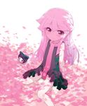  cat cherry_blossoms dress long_hair original pink_eyes pink_hair pink_scarf scarf sitting smile solo yoneko_(yonekonty) 