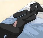  bed black_fur blanket canine color cute derp fur kurapika looking_at_viewer male mammal nude open_mouth penis pillow raven_wolf sheath sheets solo teeth webcomic white_eyes wolf yula 