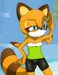  2014 anthro blue_eyes breasts chest_tuft clothed clothing domination duo female female_domination fur hair hedgehog long_hair macro male mammal marine_the_raccoon marine_the_racoon micro raccoon sega silver_the_hedgehog size_difference smile sonic_(series) straight tuft video_games white_fur 