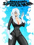  1girl black_cat_(marvel) blue_eyes bodysuit breasts felicia_hardy gloves hair_over_one_eye highres large_breasts long_hair marvel mask nipples silver_hair skin_tight spider spider_web supernova_(artist) web white_gloves 