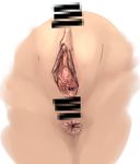  anus bar_censor censored clitoris close-up commentary mosaic_censoring original pointless_censoring pussy solo urethra yamada_(gotyui) 