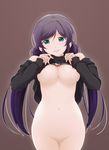  bottomless breasts brown_background censored green_eyes large_breasts lips long_hair looking_at_viewer love_live! love_live!_school_idol_project mosaic_censoring nipples purple_hair pussy simple_background slowpit solo toujou_nozomi twintails 