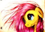  equine female fluttershy_(mlp) friendship_is_magic fur hair horse long_hair mammal my_little_pony pegasus pink_hair pony smile solo varlastreak wings yellow_fur 