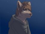  brown_fur brown_hair brown_nose canine chest_tuft clothed clothing fur gorsh_dolderan hair hood hoodie keidran light male mammal night outside robe short_hair sky solo stars tuft twokinds wolf zen_(twokinds) 