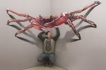  crab crustacean human male mammal marine nightmare_fuel photo real realistic shadow wall 
