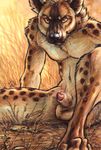  amber_eyes anthro balls blotch canine desmont1590 fur hiena hindpaw hyena looking_at_viewer male mammal paws penis penis_tip restricted_palette sheath simple_background sitting solo spots tan_fur whiskers 