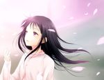  black_hair blazer casual cherry_blossoms chitanda_eru hyouka jacket long_hair purple_eyes rito453 