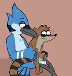  balls bird blue_jay frottage gay male mammal mordecai penis raccoon regular_show rigby tandem 