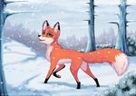  canine female feral forest fox green_eyes mammal outside rukifox snow solo tree winter 