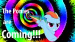  english_text equine flying friendship_is_magic fur furpics hair horse mammal meme multi-colored_hair my_little_pony pegasus purple_eyes rainbow rainbow_dash_(mlp) rainbow_hair rainbow_tail smile solo teeth text wings 