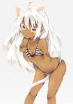  :q ahoge animal_ears bad_id bad_pixiv_id bare_shoulders bikini blush breasts cat_ears cat_tail dark_skin extra_ears front-tie_top long_hair looking_at_viewer nibiiro_shizuka original petite pointy_ears small_breasts smile solo striped striped_bikini swimsuit tail tongue tongue_out white_hair yellow_eyes 
