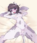  bovine breast_milking breasts ear_piercing female lactating looking_at_viewer mammal milk nipples nude on_bed open_mouth piercing pussy slugbox solo tongue 