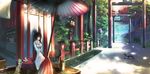  animal black_hair cat japanese_clothes kikivi long_hair miko original ponytail sleeping summer torii 