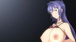  1girl blue_hair breasts huge_breasts looking_at_viewer maken-ki! nijou_aki nipples purple_eyes simple_background smile solo 