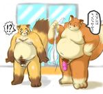  anthro armadirou balls black_nose canine censored chubby duo erection eyebrows flaccid fox grin japanese_text kemono male mammal moobs navel nipples overweight penis pubes red_eyes simple_background standing text translation_request 