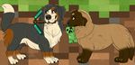  ambiguous_gender bernese_mountain_dog blue_eyes canine dog feral fur leonberger looking_back mammal minecraft raised_tail rottie. video_games 