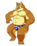  american_flag anthro biceps big_muscles black_nose brown_fur brown_hair bulge canine chubby crossed_eyes dog fur hair male mammal musclegut muscles nipples open_mouth pecs plain_background plantigrade shiba-kenta shiny solo speedo standing swimsuit tan_fur tongue topless whiskers white_background 