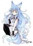  agahari animal_ears blue_hair claws commentary_request fox_ears fox_tail fur highres long_hair looking_at_viewer lost_technology original simple_background solo tail white_background yellow_eyes 