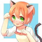  :3 :d animal_ears bad_id bad_pixiv_id brown_hair casual cat_ears cat_tail green_eyes hair_bobbles hair_ornament hoshizora_rin love_live! love_live!_school_idol_project one_side_up open_mouth paw_pose sawatari_(sado) short_hair smile solo tail 