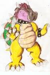  boca bowser bros costume hippo mario mario_bros nintendo smaller_version_at_the_source super video_games 