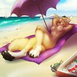  4_toes abs anthro arthropod beach boat breasts canine claws coyote crab crustacean digitigrade eyes_closed eyewear female glasses hindpaw mammal marine nipples nude pawpads paws seaside selinis solo summer toes towel 