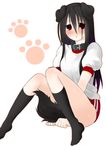  animal_ears bad_id bad_pixiv_id black_hair blush buruma collar dog_ears dog_tail gym_uniform hairband kneehighs komori_kiri long_hair momo_uzura red_eyes sayonara_zetsubou_sensei socks solo tail 