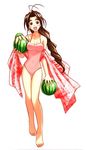  akamatsu_ken barefoot brown_hair food fruit holding holding_food holding_fruit jpeg_artifacts legs long_hair love_hina one-piece_swimsuit otohime_mutsumi solo swimsuit tama_(love_hina) watermelon 