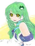  detached_sleeves fuu_(futian) green_hair hair_ornament kochiya_sanae long_hair snake solo touhou yellow_eyes 