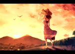  bird cloud dress from_behind grass hat house letterboxed mountain original sky solo straw_hat sunakumo sunset tree twilight 