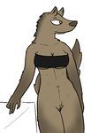  aliasing anthro bottomless breasts brown_eyes canine cleavage clothed clothing female fur mammal multi_nipple nipples plain_background pussy skimpy trout_(artist) under_boob underwear 