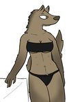  aliasing anthro breasts brown_eyes canine cleavage clothed clothing female fur mammal multi_nipple nipples panties plain_background skimpy trout_(artist) under_boob underwear 