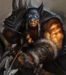  1boy arrow bow_(weapon) fur hearthstone male muscle official_art rexxar scar solo tagme weapon world_of_warcraft 