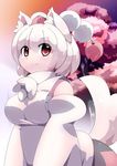  :3 animal_ears bare_shoulders breasts detached_sleeves gachirin_(mint0527) hat inubashiri_momiji large_breasts looking_at_viewer nature pom_pom_(clothes) red_eyes sarashi shirt short_hair silver_hair skirt solo tail tokin_hat touhou tree wolf_ears wolf_tail 