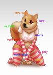  anthro bent_over canine clothing cute dog doge female fluff invalid_tag mammal meme shirt shorts 