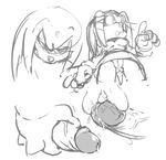  female knuckles_the_echidna male penis pussy sega sonic_(series) sonic_the_hedgehog tikal_the_echidna 